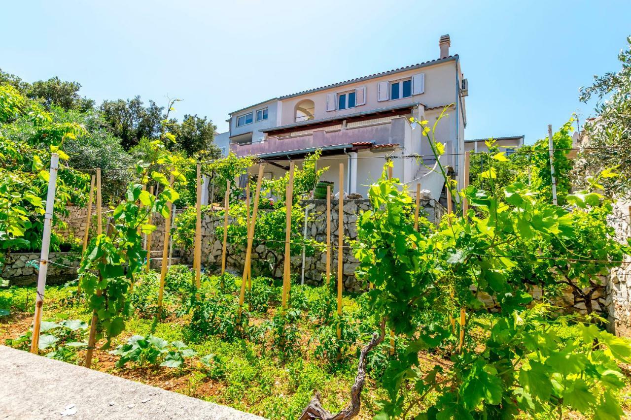 Apartments Bozo Ražanj Екстериор снимка